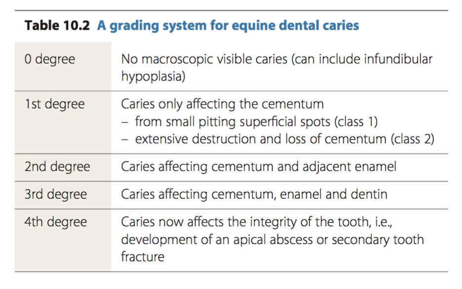Dental Abbreviations For Charting Uk